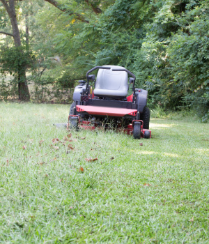 Europe Zero Turn Lawn Mowers Market Size, Growth, Demand, Forecast